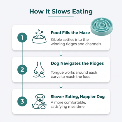 How it slows eating, food fills the maze