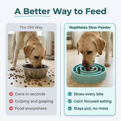A better way to feed, comparison of old way vs NapMates slow feeder
