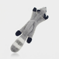 Raccoon