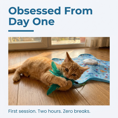 Cat obsessed from day one playing with hide and seek toy