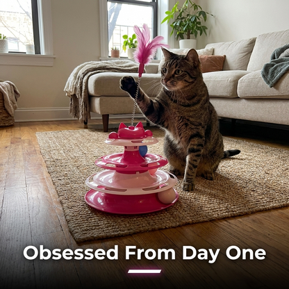 Cat playing with feather wand ball toy