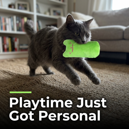 Cat playing with catnip toy