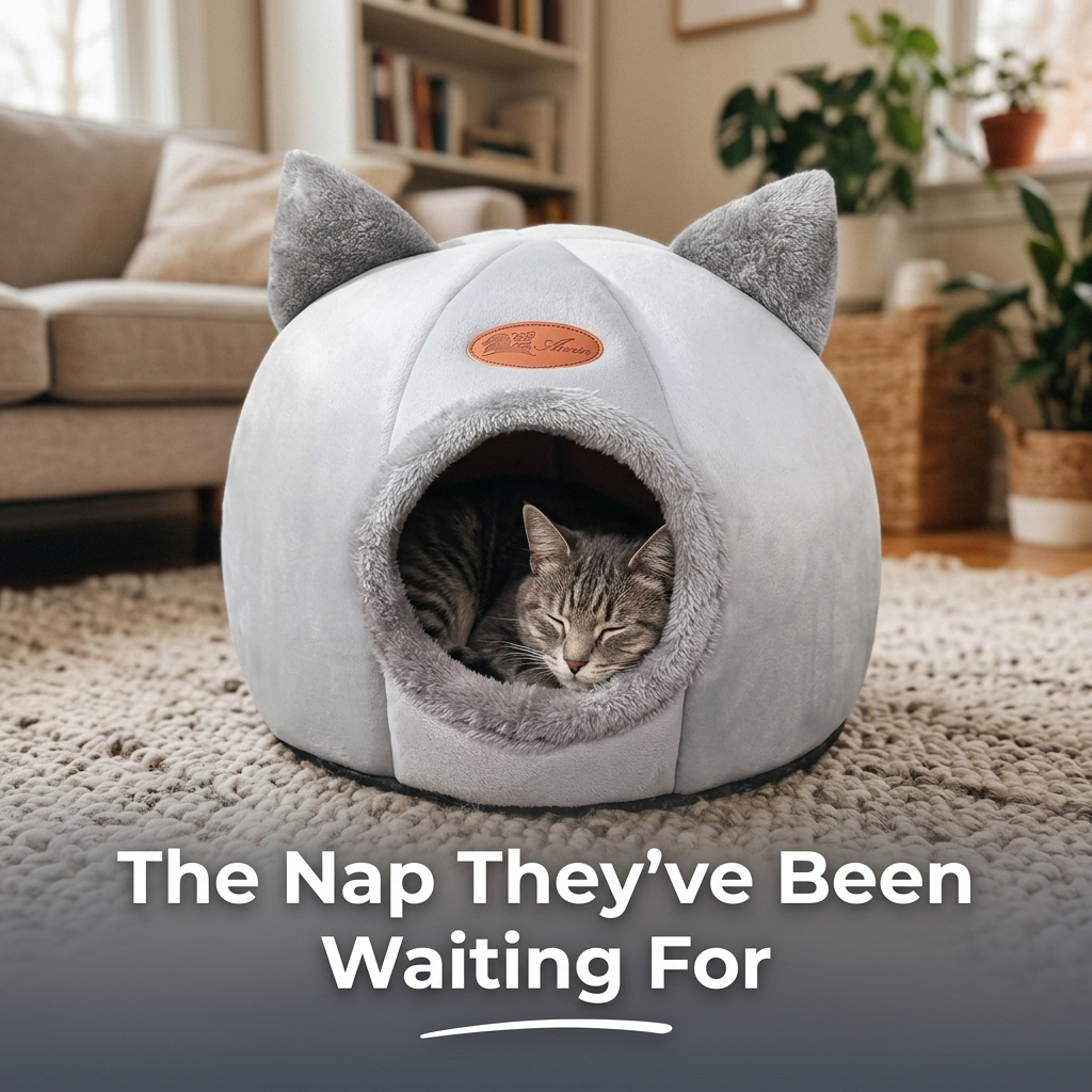 Cat resting in cave bed