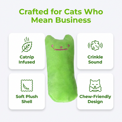 Crafted for cats who mean business