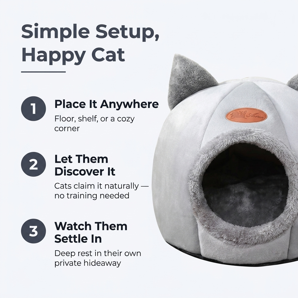 Simple setup happy cat