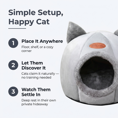 Simple setup happy cat