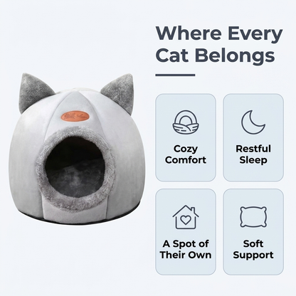 Where every cat belongs