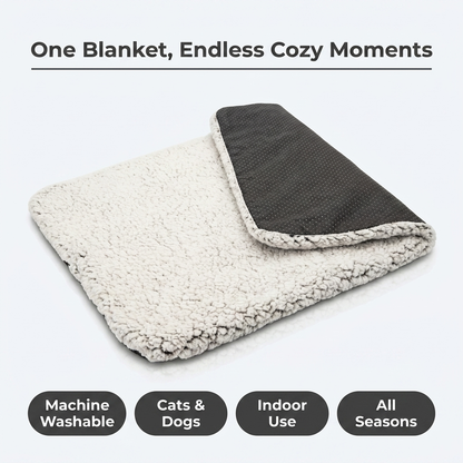 One Blanket, Endless Cozy Moments