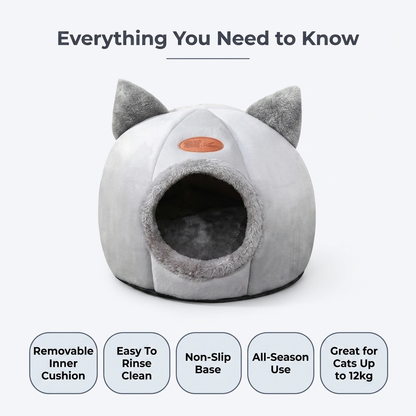 Everything you need to know
