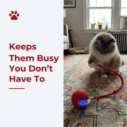 Keeps Them Busy You Don't Have To