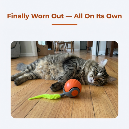 Cat worn out from playing with rolling ball toy