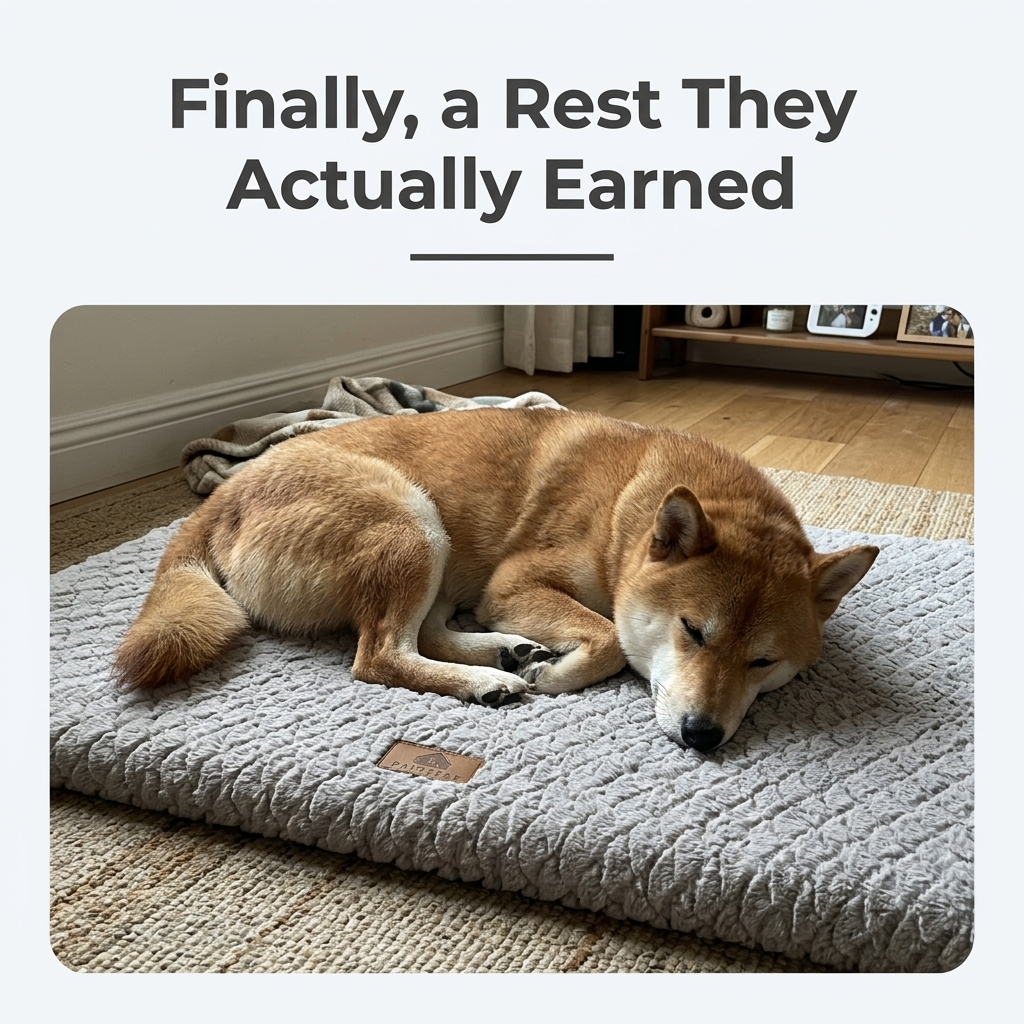 Dog resting on grey foam pet bed, finally a rest they earned
