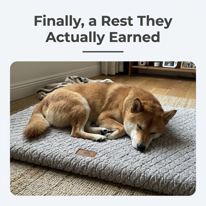 Dog resting on grey foam pet bed, finally a rest they earned