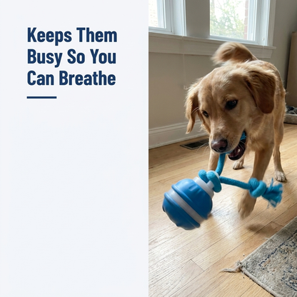 Motion Activated Rolling Ball for Dogs Automatic Interactive Toy