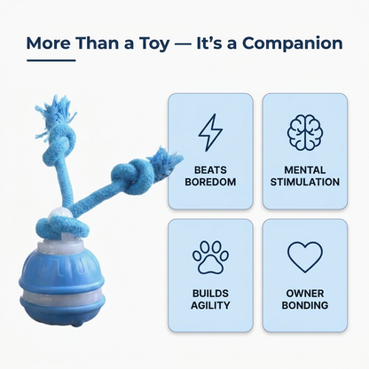 Motion Activated Rolling Ball for Dogs Automatic Interactive Toy