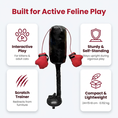 Built for active feline play infographic