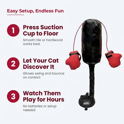 Easy setup endless fun infographic