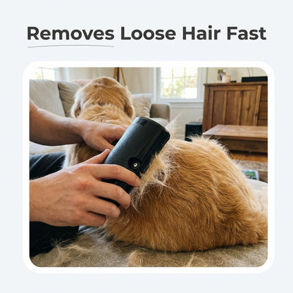 Golden retriever being brushed on a sofa with text Removes Loose Hair Fast
