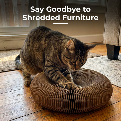 Cat curled up inside a corrugated scratcher bed with text reading Say Goodbye to Shredded Furniture.