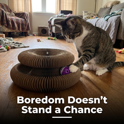 Cat playing inside the corrugated scratcher bed on a floor with text reading Boredom Doesn't Stand a Chance.