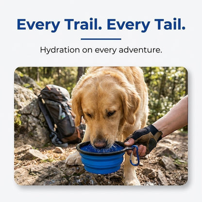 Infographic showing a hiker's dog drinking from the collapsible travel bowl with the tagline hydration on every adventure.