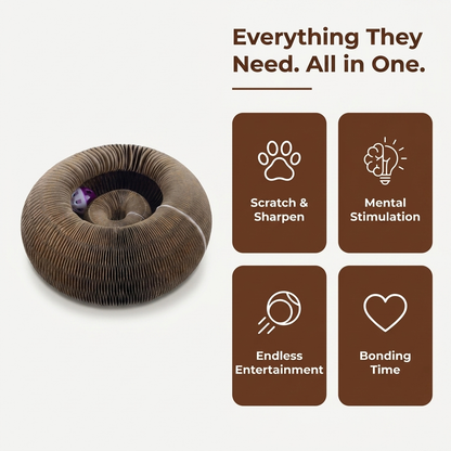 Everything They Need All in One infographic listing scratch, sharpen, rest, and bond features.