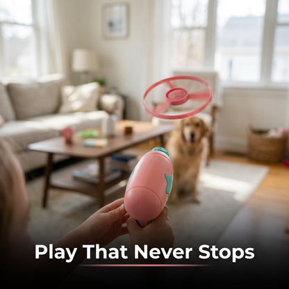 Flying disc launched across living room during play