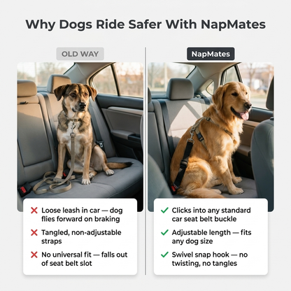 Comparison infographic showing a loose leash versus a secured dog car seat belt tether, with feature callouts for buckle fit, adjustable length and swivel snap hook.