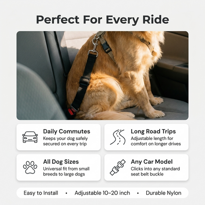 Infographic titled Perfect For Every Ride with a dog secured by a seat belt tether in a car and callouts for daily commutes, road trips, all dog sizes and any car model.