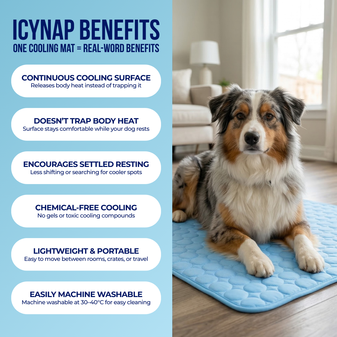 Benefits infographic listing six features of the cooling mat beside an Australian Shepherd resting on a blue mat