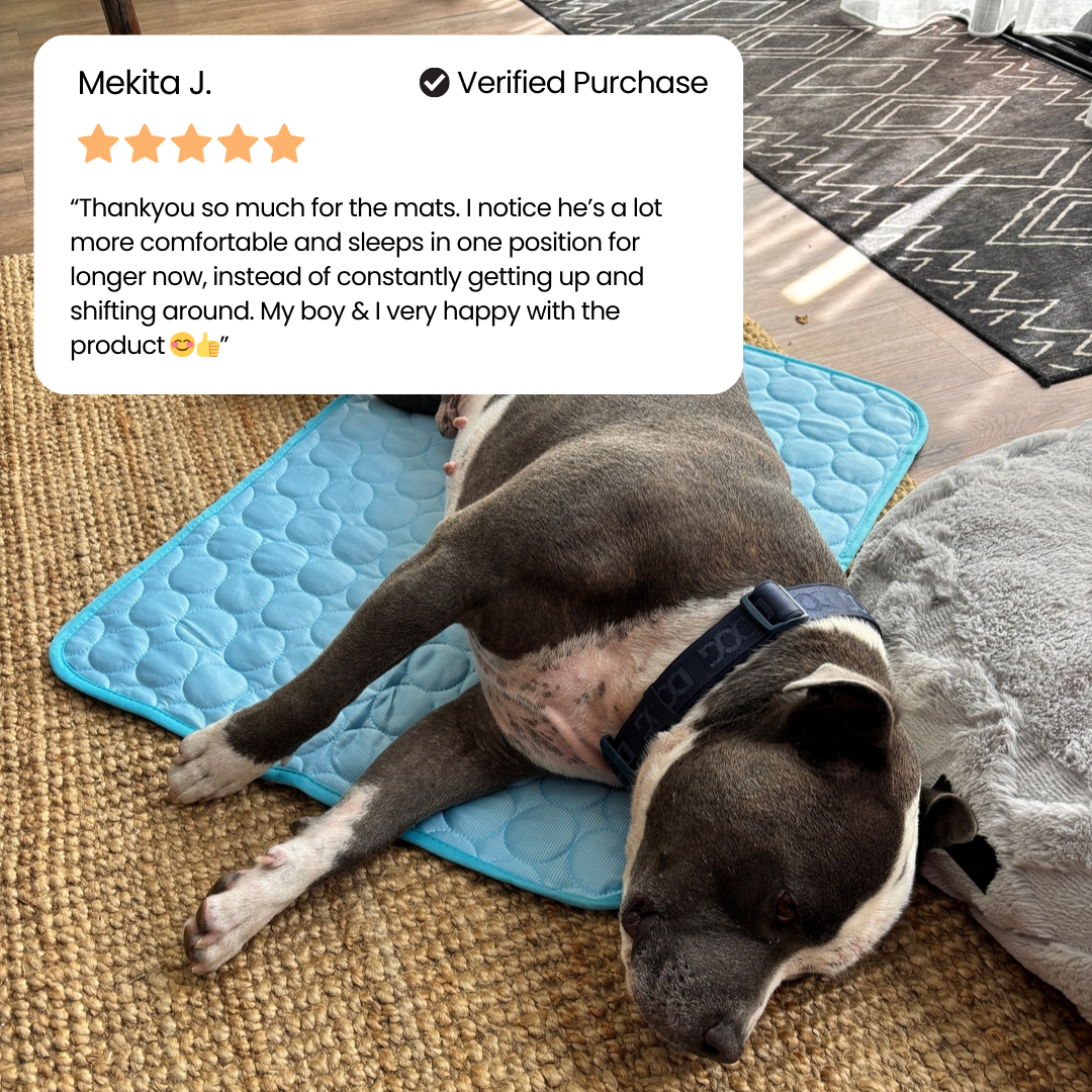Grey and white staffordshire dog lying on a blue cooling mat with a five star verified customer review