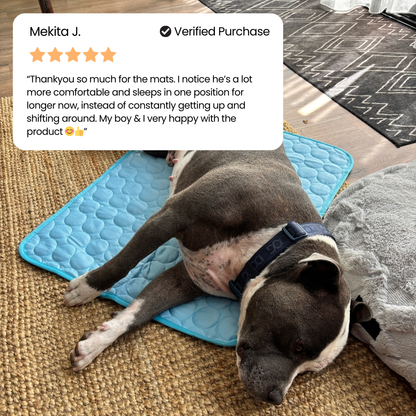 Grey and white staffordshire dog lying on a blue cooling mat with a five star verified customer review