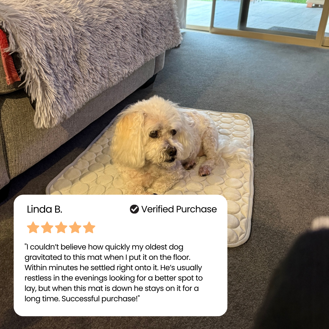 Small white curly dog resting on a cream cooling mat with a five star verified customer review