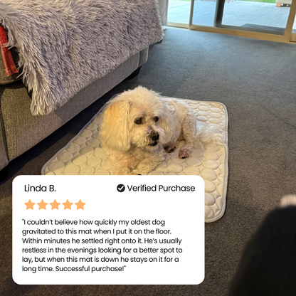 Small white curly dog resting on a cream cooling mat with a five star verified customer review