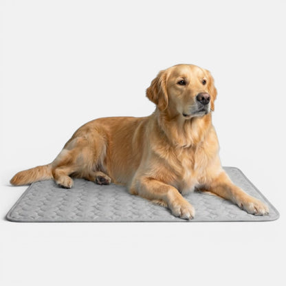 Golden retriever resting on a grey cooling mat on a plain white background