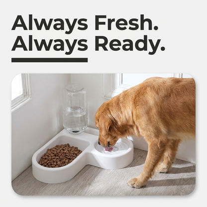 A golden retriever drinks water from the double bowl feeder set on the floor.