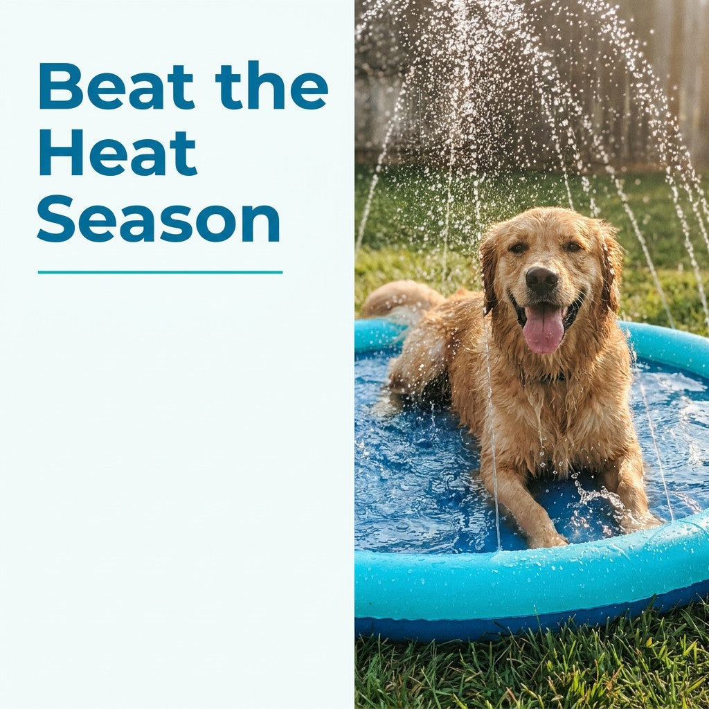 Navy blue PVC dog splash pad sprinkler mat with a golden retriever playing in the water on a lawn