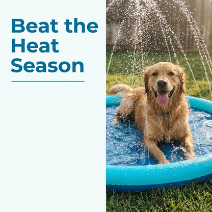 Navy blue PVC dog splash pad sprinkler mat with a golden retriever playing in the water on a lawn