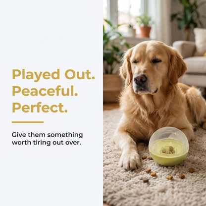 Lifestyle infographic titled Played Out Peaceful Perfect, showing a calm golden retriever lying beside the yellow treat dispenser ball in a living room.