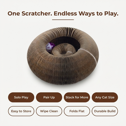 Corrugated cat scratcher bed shown at an angle with text reading One Scratcher Endless Ways to Play.