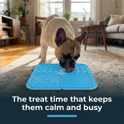 French bulldog licking a blue silicone lick mat on a living room rug, with the caption The treat time that keeps them calm and busy.