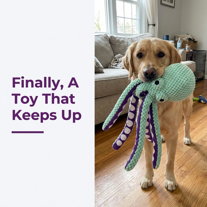 Golden retriever holding a mint green plush octopus dog toy by its tentacles in a living room.
