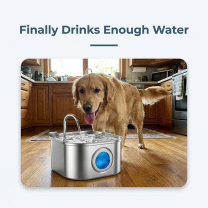 Golden retriever standing behind a stainless steel pet water fountain with a blue window on a kitchen floor.