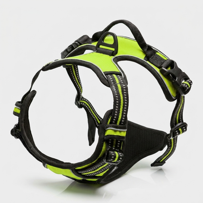 A green vest-style dog harness shown against a plain background.
