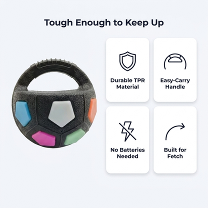 Infographic highlighting durable TPR material, easy-carry handle, no batteries needed, and built for fetch