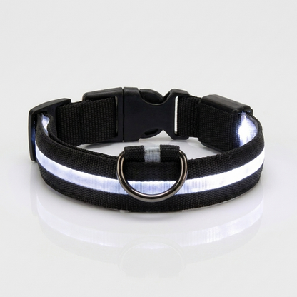 Black light-up nylon dog collar with a bright white glowing LED strip, shown against a plain grey studio background with a metal D-ring and quick-release buckle.