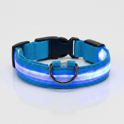 Blue light-up nylon dog collar glowing with an illuminated LED strip, shown against a plain grey studio background with a metal D-ring and quick-release buckle.