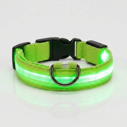 Green light-up nylon dog collar glowing with an illuminated LED strip, shown against a plain grey studio background with a metal D-ring and quick-release buckle.