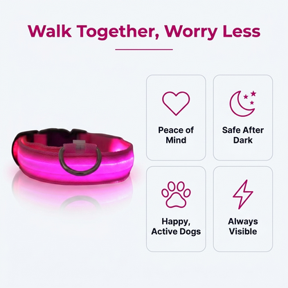 Feature infographic titled Walk Together, Worry Less showing a glowing pink LED dog collar beside icons for Peace of Mind, Safe After Dark, Happy Active Dogs, and Always Visible.