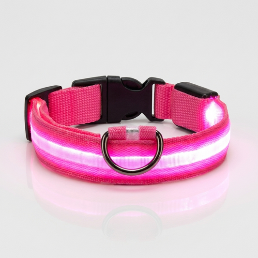 Pink light-up nylon dog collar glowing with an illuminated LED strip, shown against a plain grey studio background with a metal D-ring and quick-release buckle.